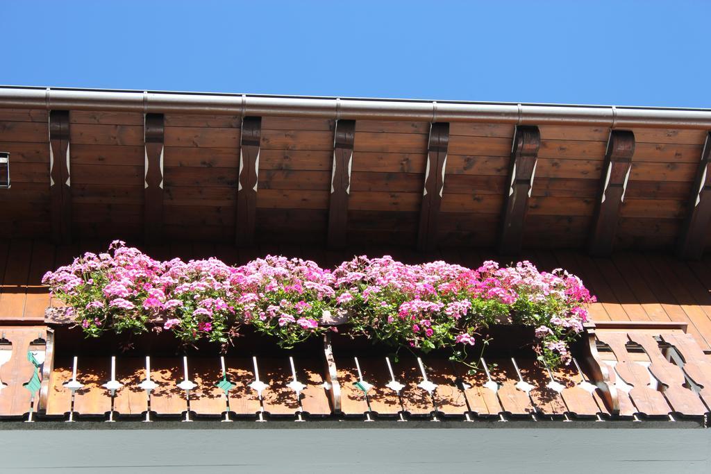 Hotel Montana Cortina dʼAmpezzo Exteriör bild